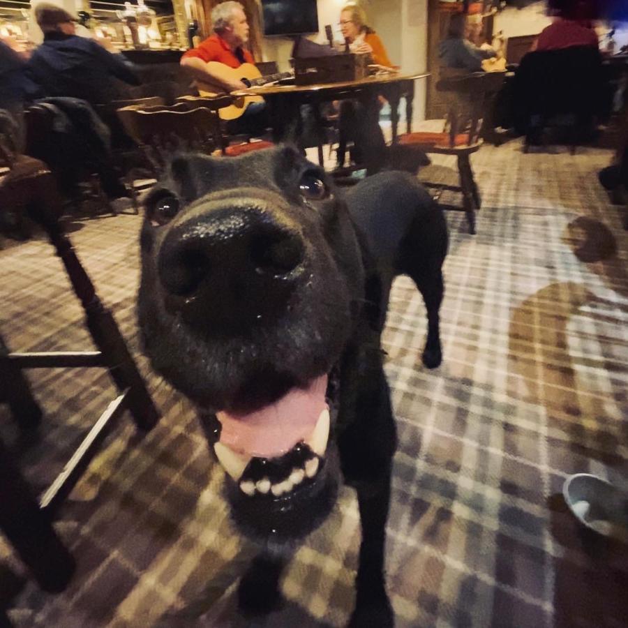 Bower House Inn 에스크데일 외부 사진